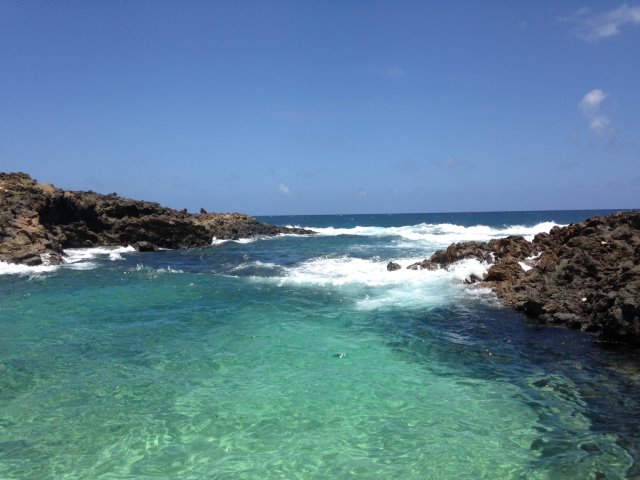 Piscine naturelle